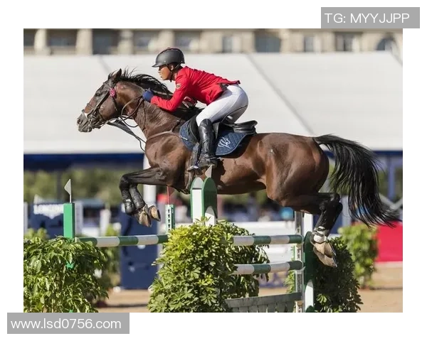 全运会|马术竞赛收官 广西骑手再夺金